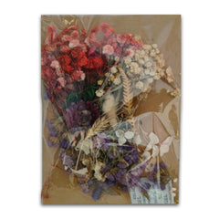MULTI COLOR DRY FLOWER SHEET