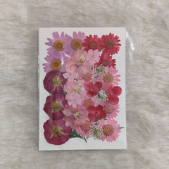 FLOWER SHEET #11