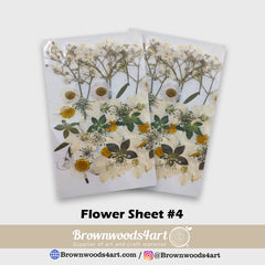 Flower Sheet #4