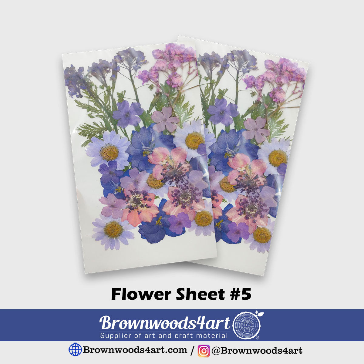 Flower Sheet #5