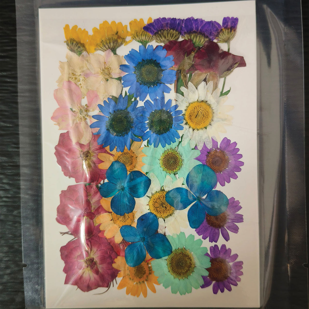 FLOWER SHEET #15