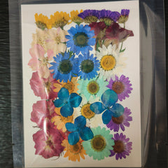 FLOWER SHEET #15