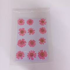 Pink Daisy Flower Sheet