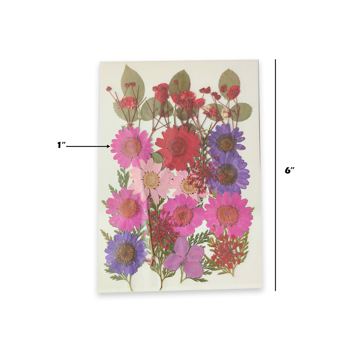 Flower Sheet #8