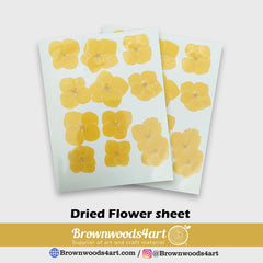 YELLOW DAISY FLOWER SHEET