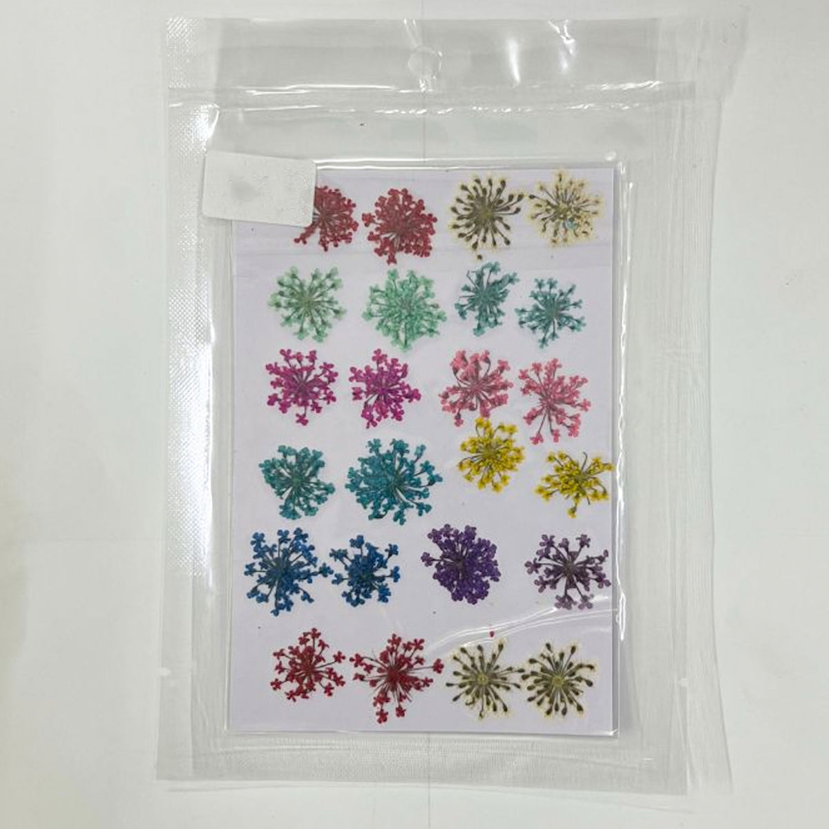 24 in 1 Multi Pressed Flower Sheet