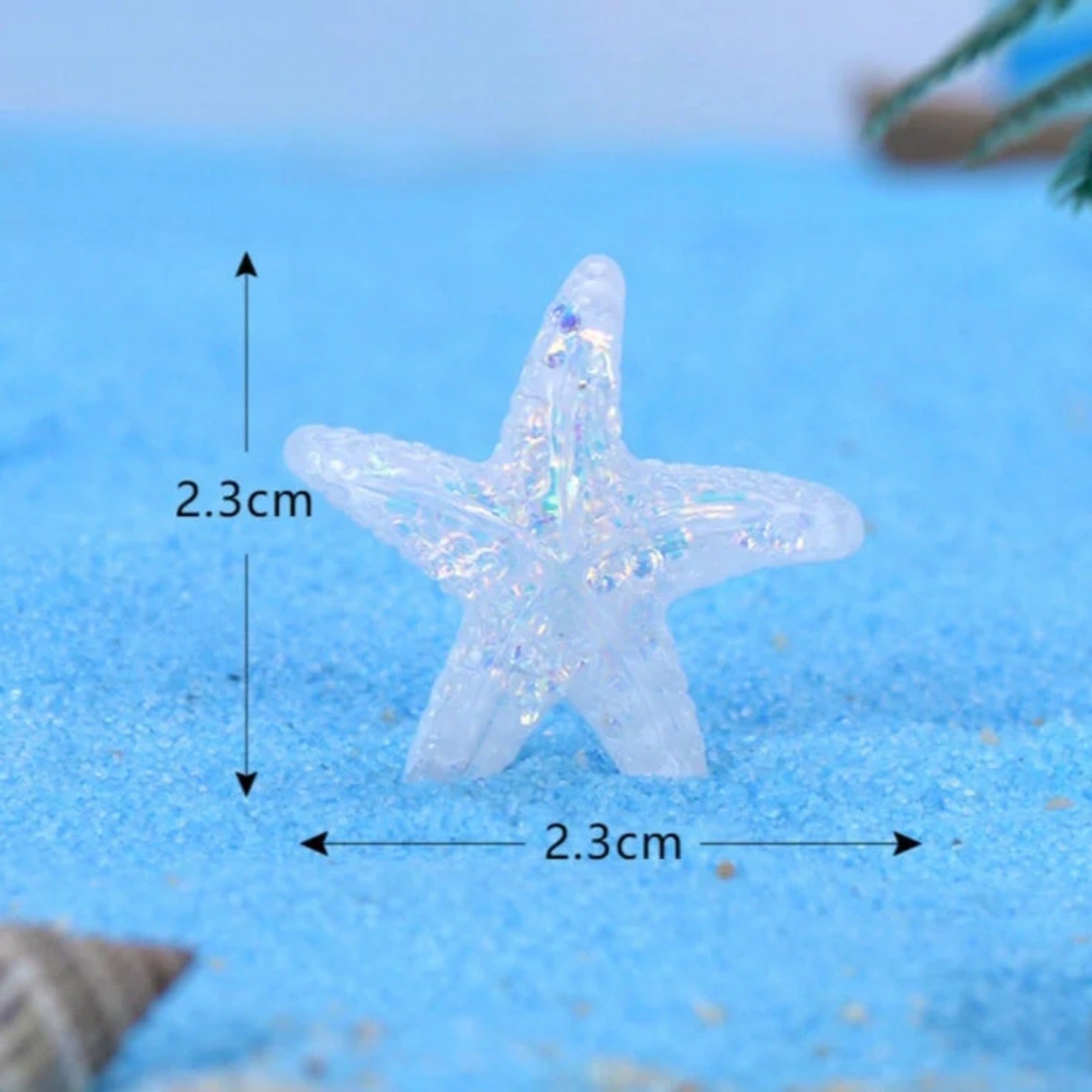 Miniature Starfish