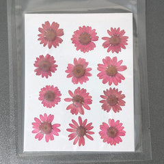 RED DAISY FLOWER SHEET