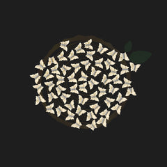 Butterfly Beads