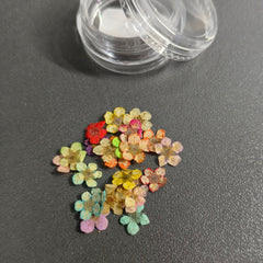 Multi Mini Flowers Set