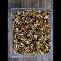 Golden Electroplated Stone