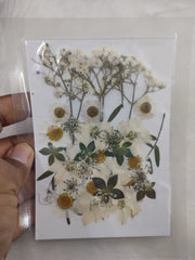 Flower Sheet #4